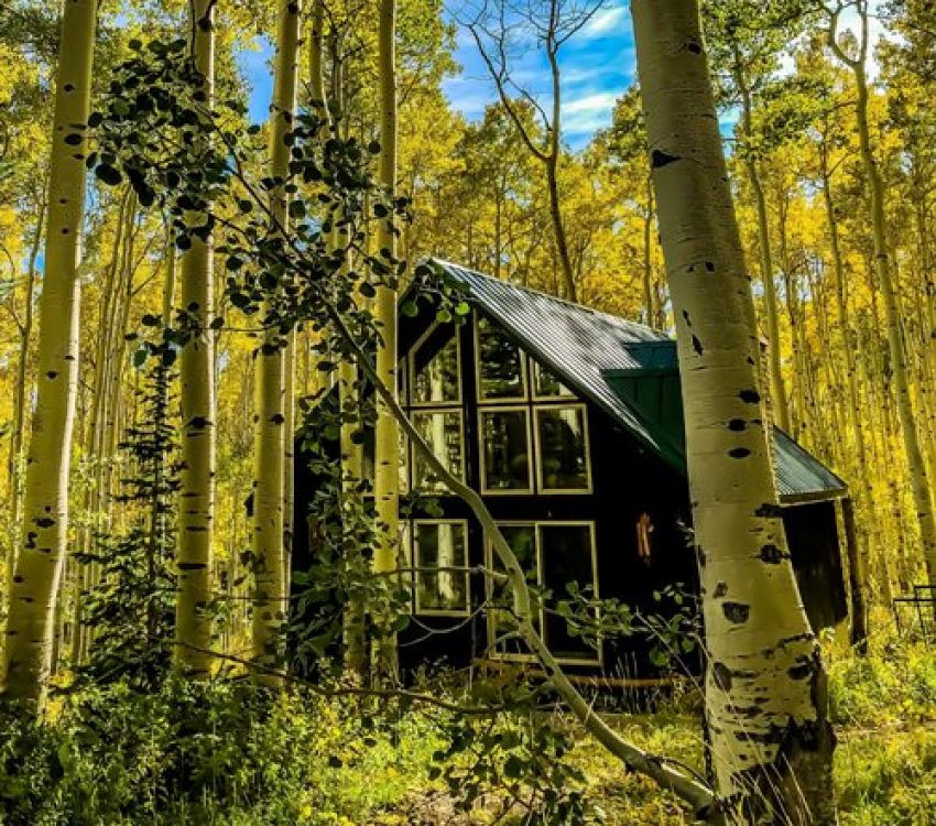 cabin2